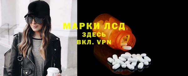 сатива Краснослободск