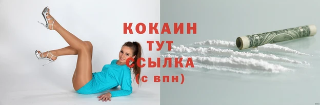 сатива Краснослободск