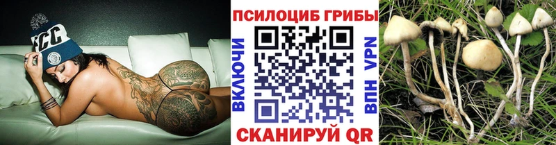 Купить  Ачинск  Галлюциногенные грибы ЛСД 